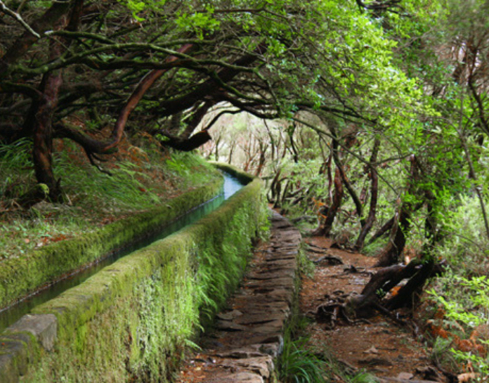 "Levadas da Madeira" Candidatas à Lista do Património Mundial da UNESCO