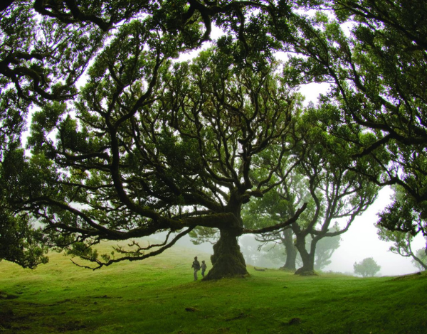 Dia Mundial da Terra | 22 de abril