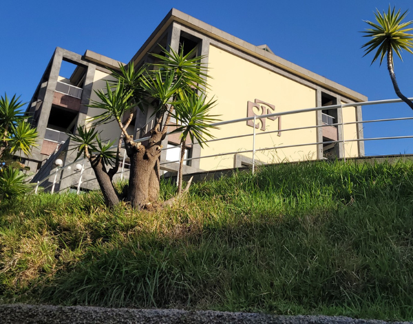 Procedimento concursal Comum - AO - Jardinagem