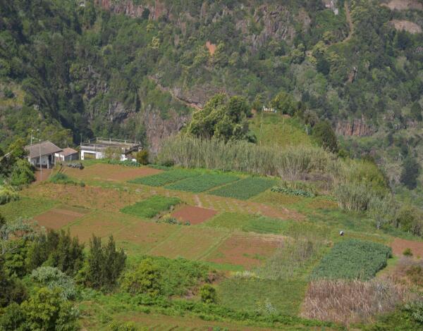 Reunião Anual do Projeto AGROSUS