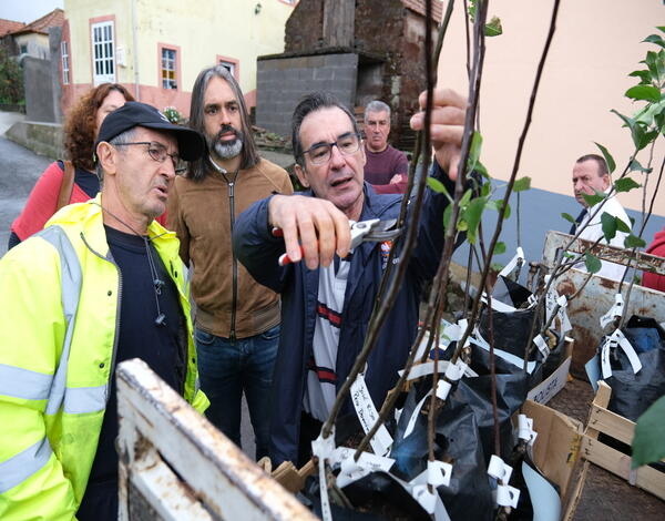 Agricultores afetados pelos incêndios começam a receber árvores de fruto