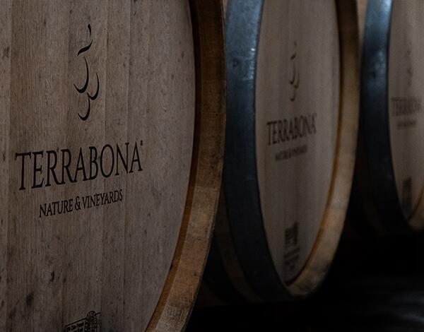 Adega de São Vicente entra em obras já este ano