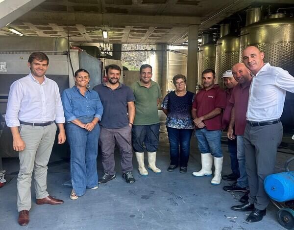 Já foram vindimadas 2 mil toneladas de uvas