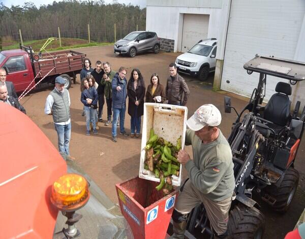 Parceria entre Veterinária e GESBA para alimentar animais com subprodutos da banana