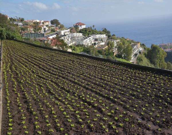 Jovens agricultores tiveram apoio de 5,7 milhões de euros