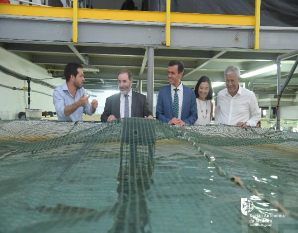 Madeira e Açores defendem atualização do POSEI