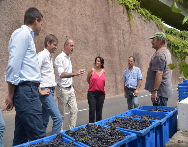 Rafaela Fernandes reforçou o compromisso do Governo em apoiar financeiramente os viticultores da casta Tinta Negra