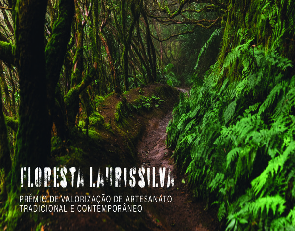 IVBAM lança 3.ªedição do Prémio de “Valorização do Artesanato da RAM”