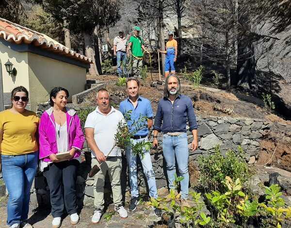 Miradouro e zona do Posto Florestal na Boca da Corrida já começaram a ser recuperados