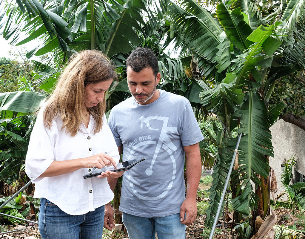 Governo disponibiliza seguro de colheitas aos bananicultores afetados pelo mau tempo