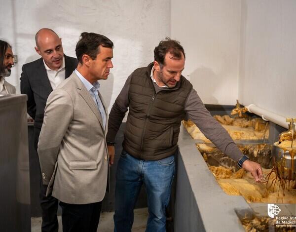 Engenhos da Madeira já receberam mais de 5 mil toneladas de cana