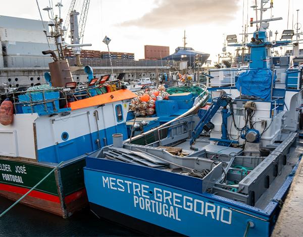 870 mil euros para travar impacto do preço dos combustíveis na pesca