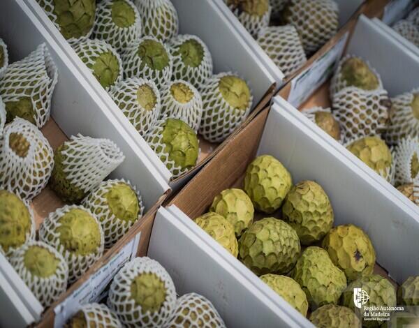 Festa da Anona. Consulte o programa.