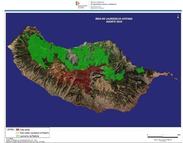 Menos de 1% da Laurissilva foi afetada pelos incêndios