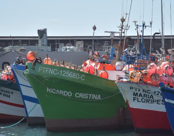 Armadores recebem 33 mil euros de apoio ao combustível