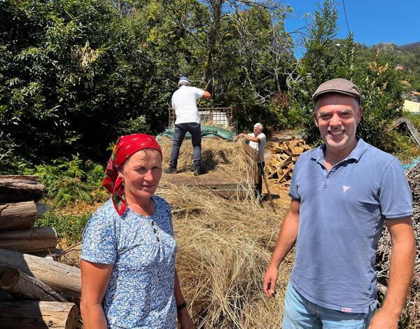 Governo disponibiliza Campo Agrícola do Caniçal para recolha de feno