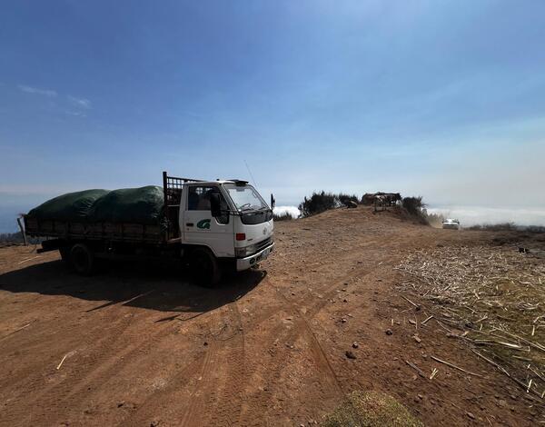 Cinco toneladas de feno distribuídas na Trompica - Ribeira Brava