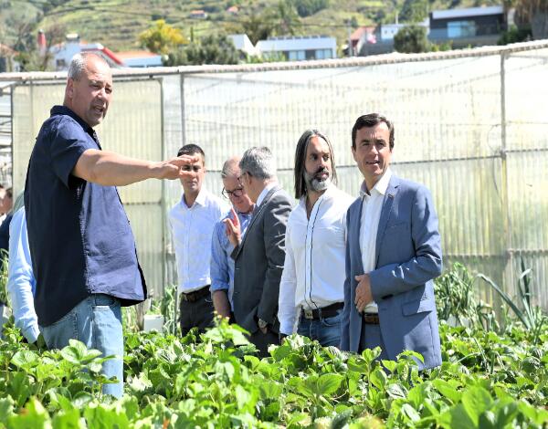 Sector agrícola continua dinâmico