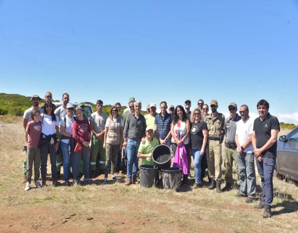 70 voluntários recolheram 60 quilos de sementes na Floresta