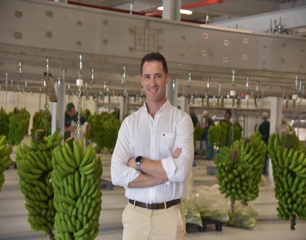 GESBA paga 24 milhões de euros aos produtores de banana