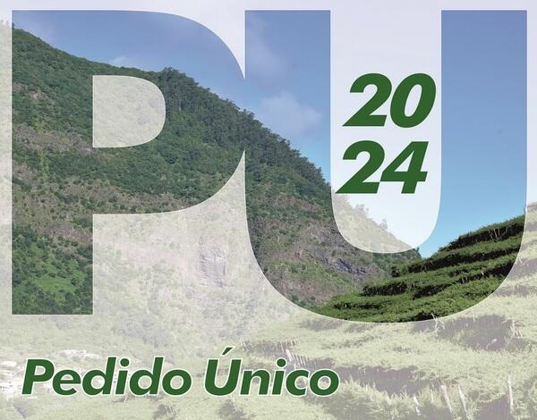 Candidaturas abertas ao Pedido Único