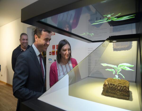 Museu da Banana com mais de 36 mil visitantes ao ano