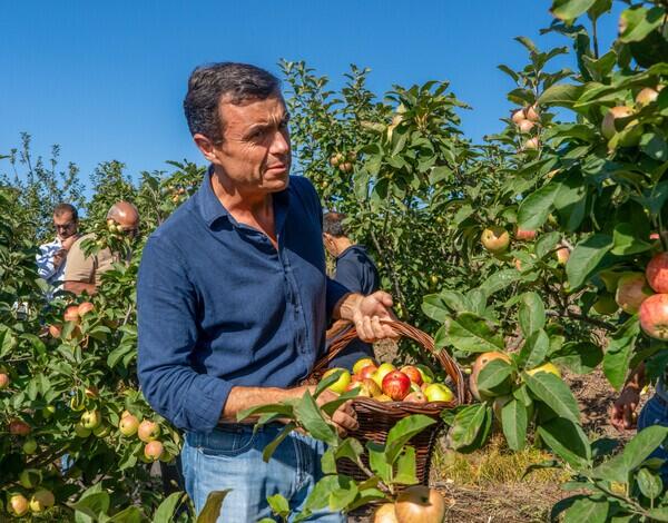 Concurso Internacional marca regresso do Festival da Sidra