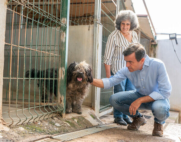 Maciel apela à posse responsável de animais de companhia