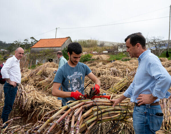 Apoios até 80% para jovens agricultores