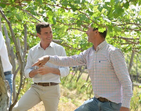 Agricultores já se podem candidatar o Pedido Único