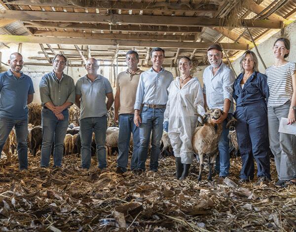 Nuno Maciel defende gado na serra de forma ordenada