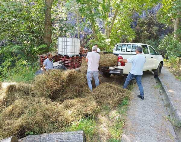 Governo continua com o apoio aos animais