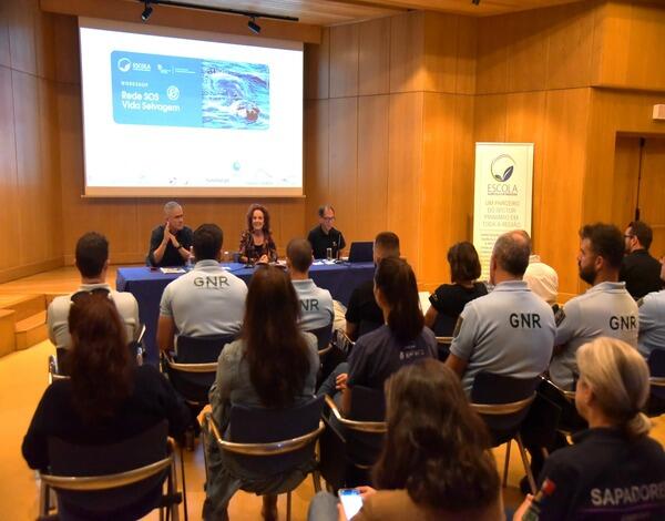 Rede SOS Vida Selvagem já salvou 3 mil aves marinhas