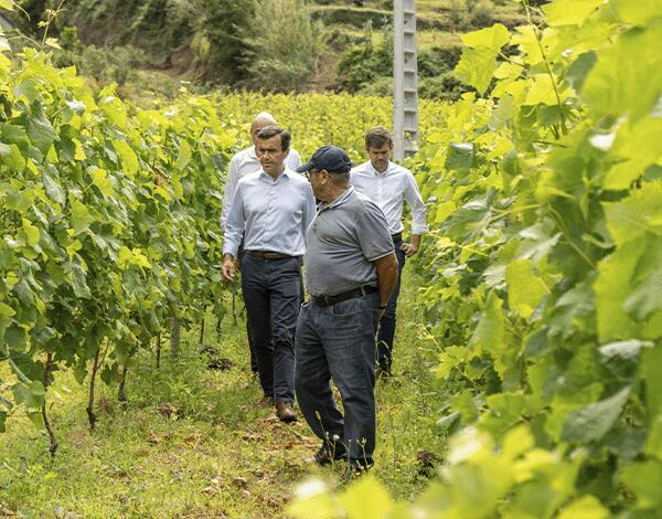 Apoio de 1,57 milhões para investimento em pequenas explorações agrícolas