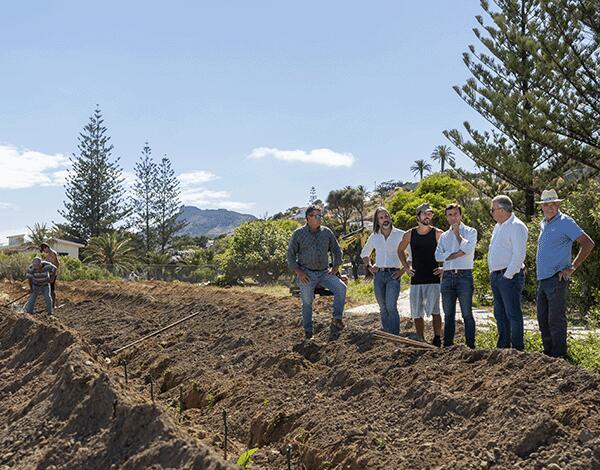 Porto Santo recupera tradição vitícola com duas novas vinhas de Listrão