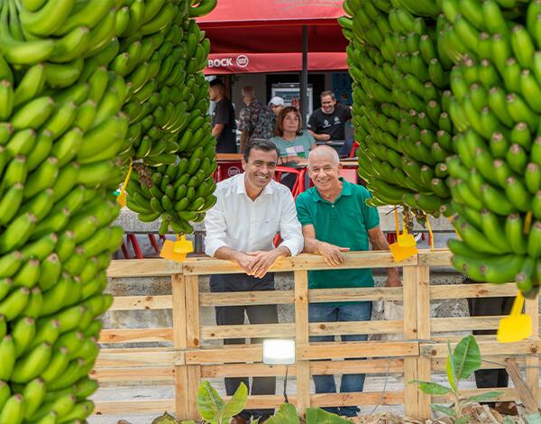 Nuno Maciel destaca recuperação da GESBA e estabilidade no setor da banana