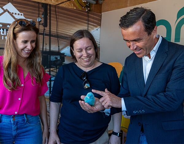 Monocarril vai potenciar terrenos agrícolas no Seixal