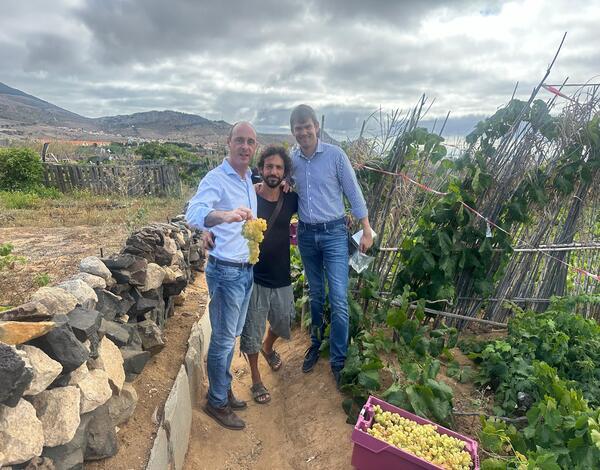IVBAM acompanha vindima no Porto Santo