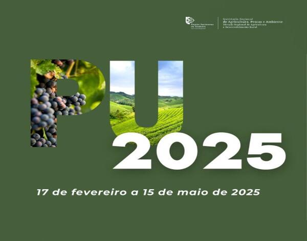 Candidaturas ao Pedido Único