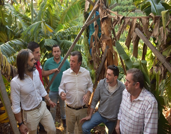 Visita a explorações agrícolas de Banana 