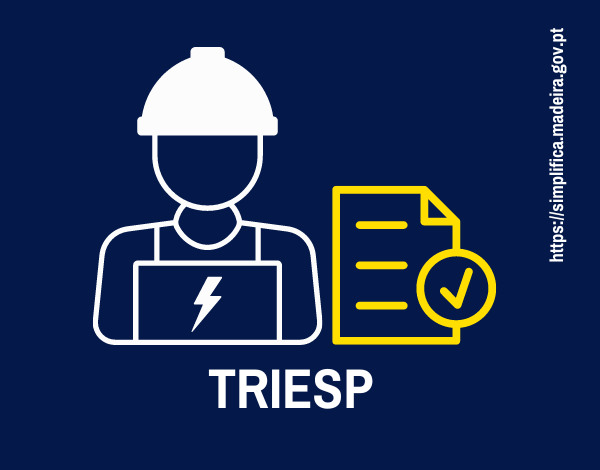 Técnicos Responsáveis por Instalações Elétricas de Serviço Particular
