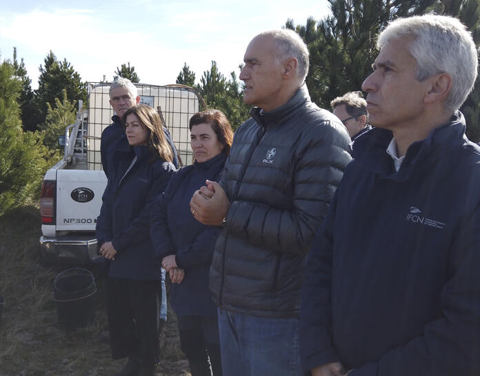 Futuro ganha mais raízes