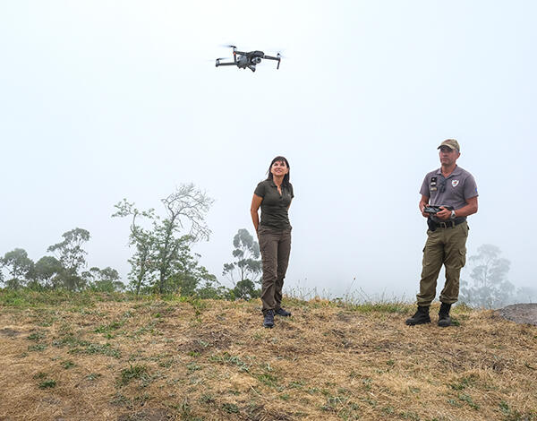 Madeira mais bem preparada para os incêndios